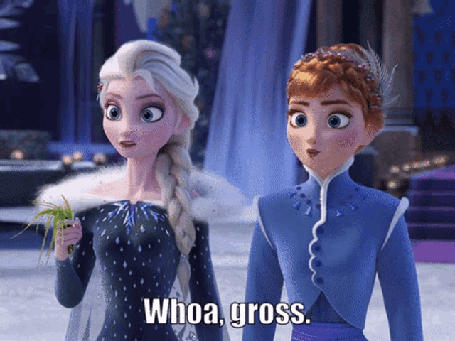 elsa and anna from the movie frozen are standing next to each other with the caption whoa gross