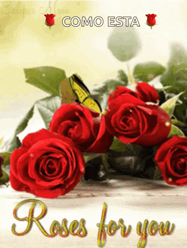 a bouquet of red roses with a yellow butterfly and the words roses for you