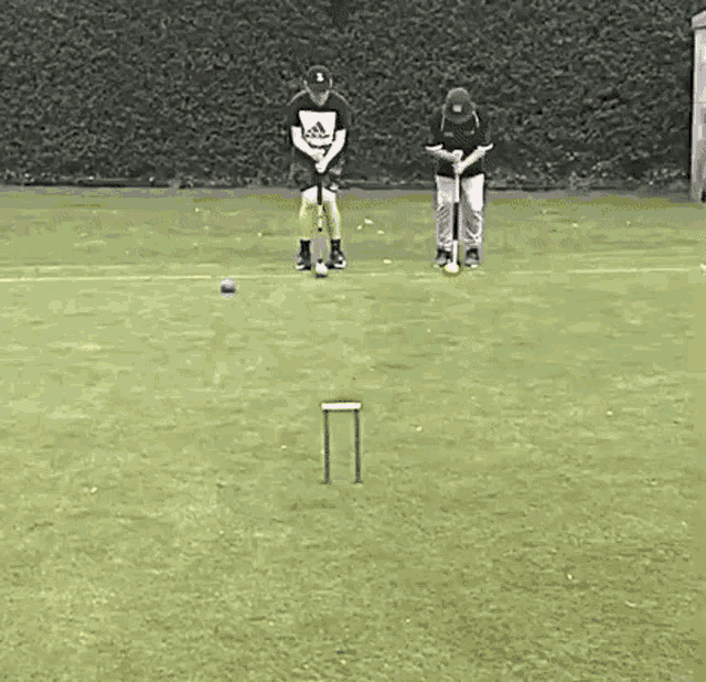 Croquet Wicket GIF - Croquet Wicket Mallet GIFs
