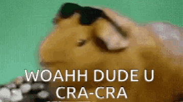 a guinea pig wearing sunglasses says woahh dude u cra-cra .