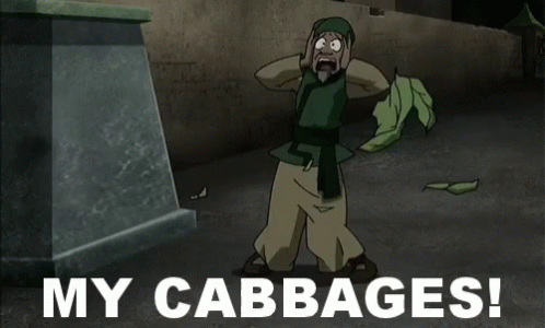 Cabbages The Last Airbender GIF - Cabbages The Last Airbender Frustrated GIFs