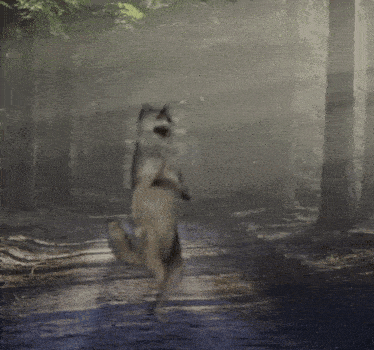 Wolf Dance Dance Wolf GIF - Wolf Dance Dance Wolf Silly Wolf GIFs