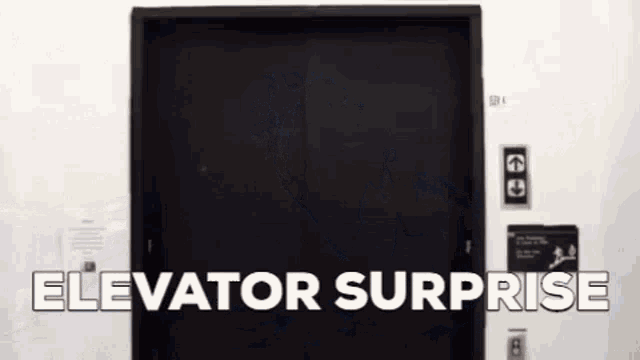 Elevator Elevator Surprise GIF - Elevator Elevator Surprise Lion GIFs