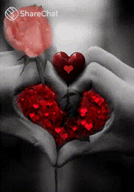a couple of hands holding a heart and a rose in their hands .