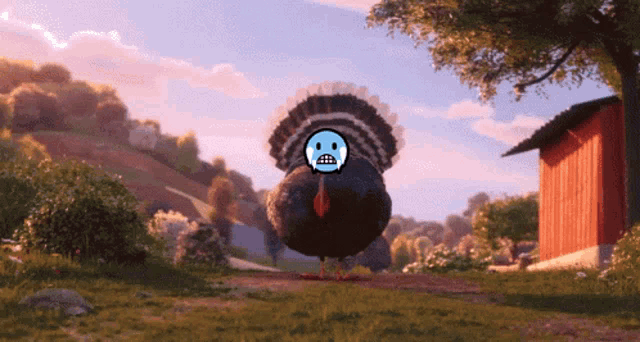 a turkey with a sad face on it
