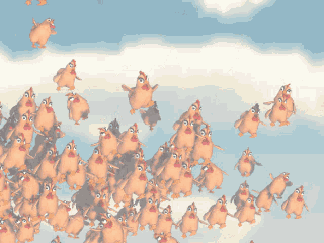Chickens Look At All Those Chickens GIF - Chickens Look At All Those Chickens Flocking GIFs
