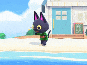 a black cat wearing a green sweater stands on a beach