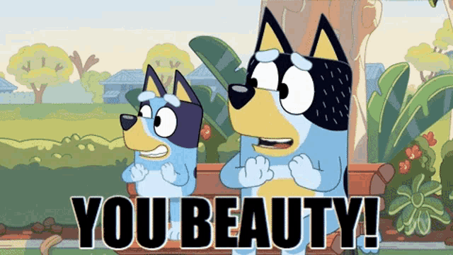 two cartoon dogs standing next to each other with the words " you beauty " written below them