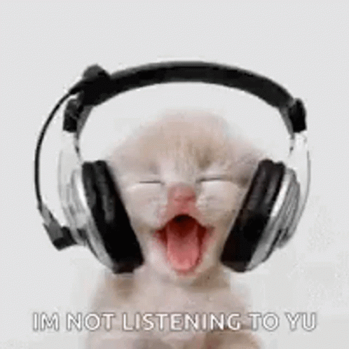 Listening To Music Cat GIF