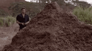 a man is standing next to a pile of dirt with the words `` that is one big pile of shit '' written on it .