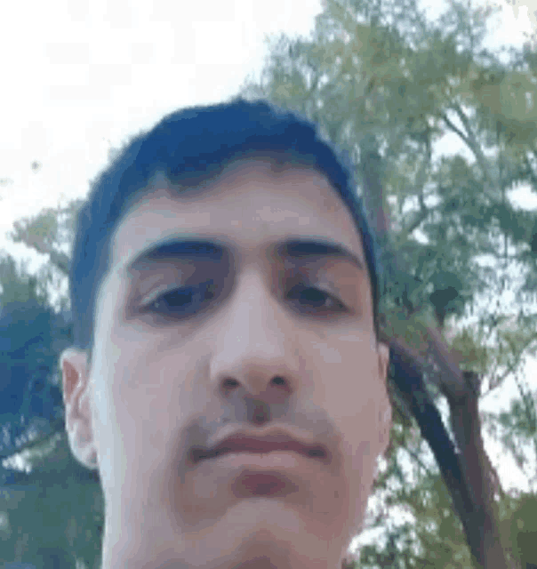 a man is taking a selfie in front of trees .