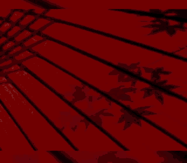 a red green and white flag with the word clans on it