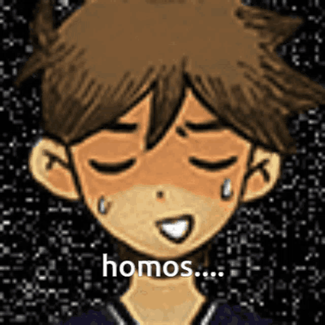 a cartoon of a boy with his eyes closed and the words `` homos '' written on his face .