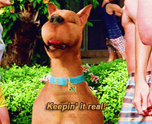 Scooby Doo Party GIF - Scooby Doo Party Keepin It Real GIFs
