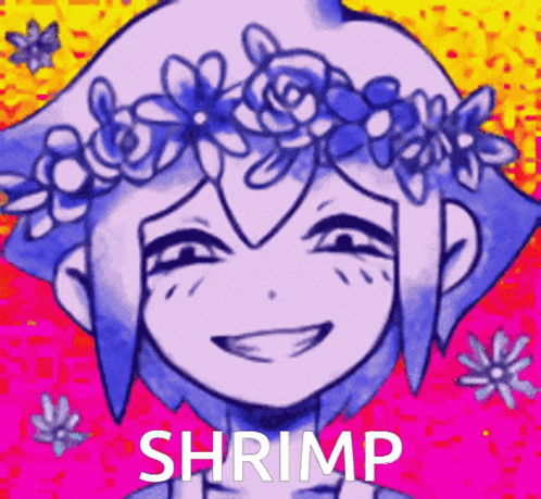 a drawing of a girl with a flower crown on her head and the word shrimp below it