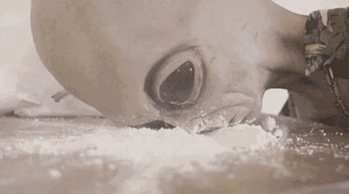 a close up of a person 's face with an alien head eating cocaine .