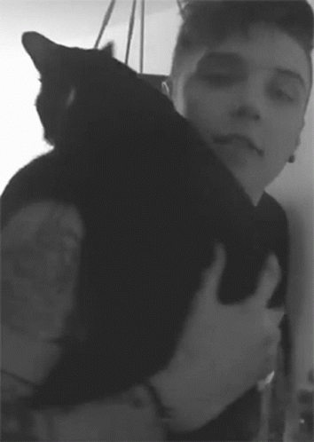 Andy Black With His Cat Crow GIF - Andy Black With His Cat Crow GIFs