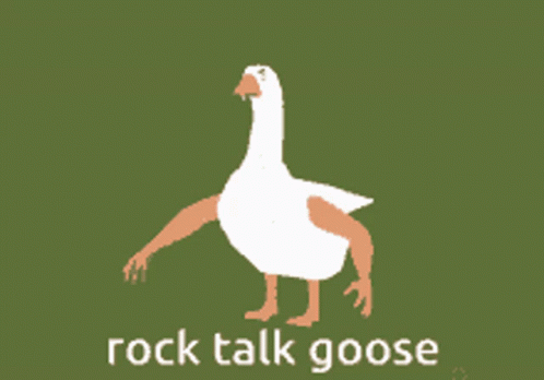 Rock Talk Goose GIF - Rock Talk Goose Bird GIFs