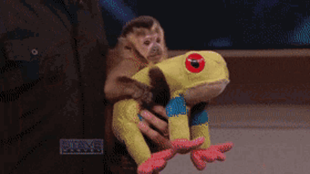 Monkey Gog GIF - Monkey Gog Frog GIFs