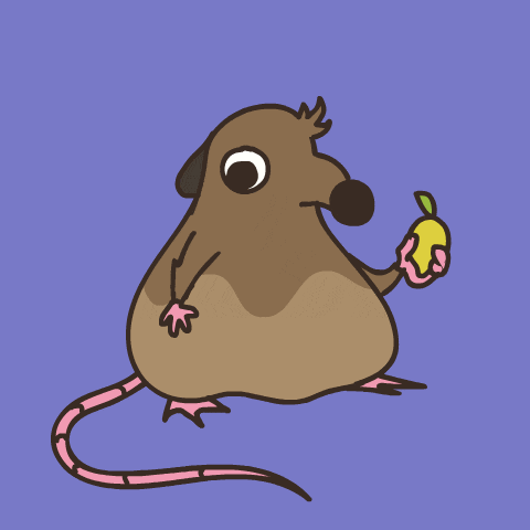a cartoon drawing of a mouse with a lemon in its mouth