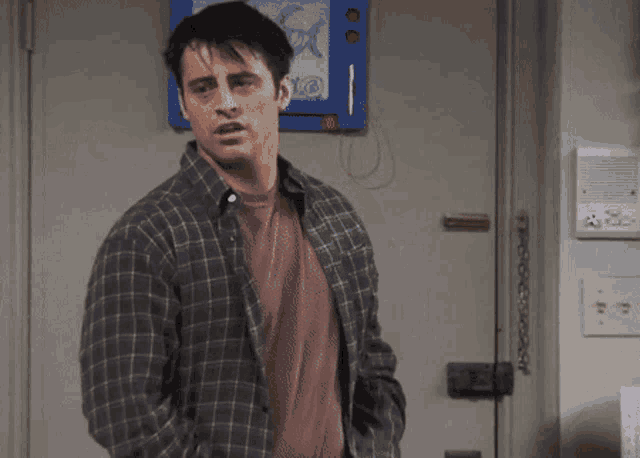a man in a plaid shirt stands in front of a door with a picture on it