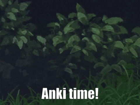 a picture of a girl with pigtails and the words " anki time "