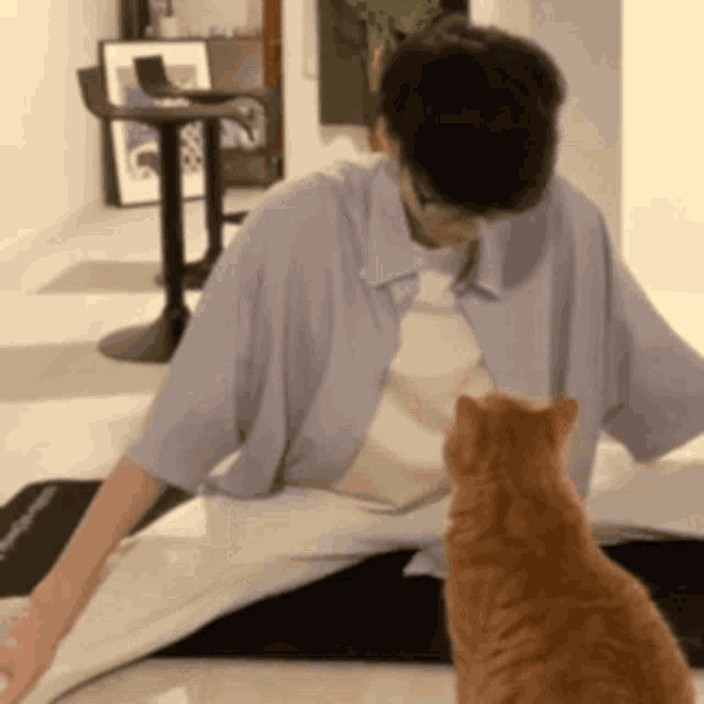 a man and a cat are playing with a piece of paper