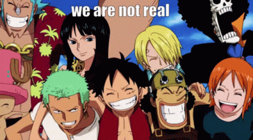 One Piece We Are Not Real GIF - One Piece We Are Not Real Nami GIFs