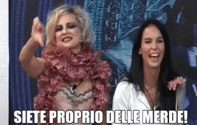 two women are standing next to each other with the words siete proprio delle merde written below them
