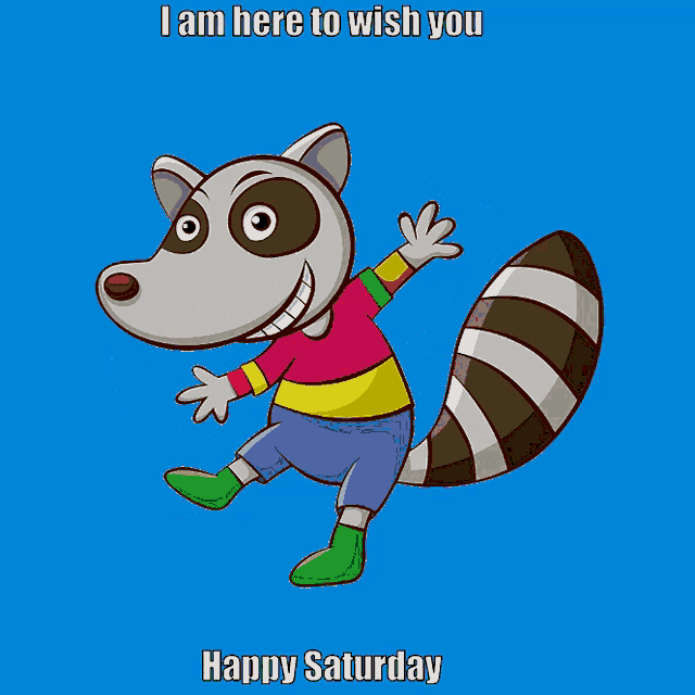 a cartoon raccoon says " i am here to wish you happy saturday " on a blue background