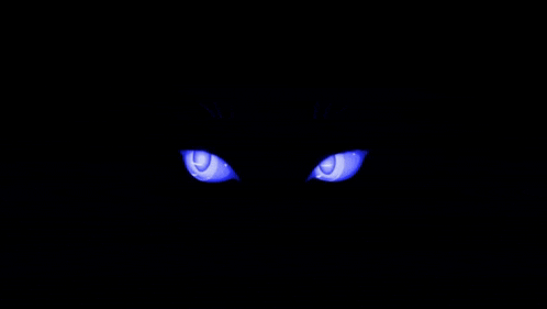 a pair of blue eyes with the letter u in the center
