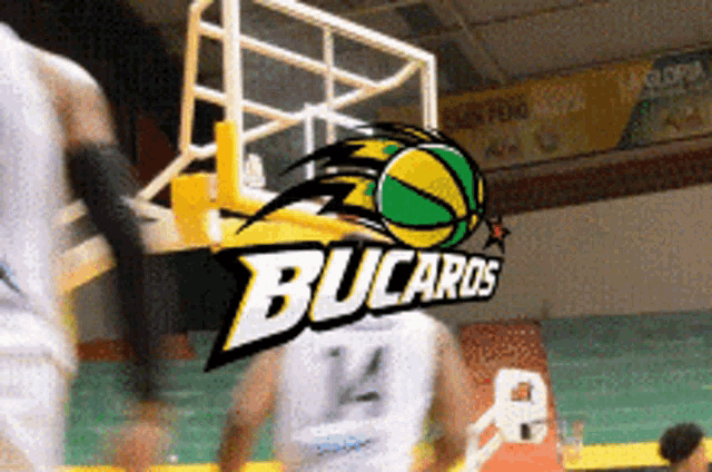 Basket Baloncesto GIF - Basket Baloncesto Bucaros GIFs