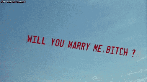 a sign in the sky that says will you marry me bitch ?