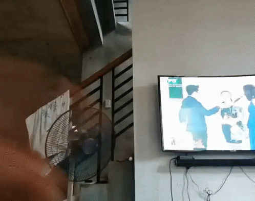 Saturday Two GIF - Saturday Two Watching Tv GIFs