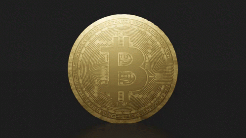 Bitcoin Cryptocurrencys GIF - Bitcoin Cryptocurrencys Crypto GIFs