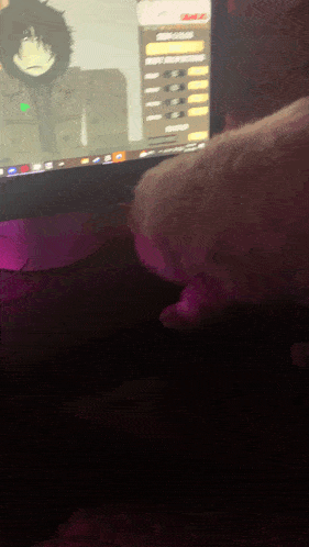 a cat is looking at a computer screen with a cartoon character on it