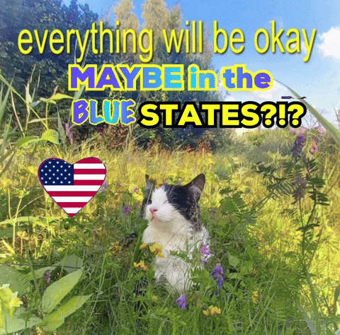 a black and white cat sitting in a field with the words " everything will be okay maybe in the blue states " above it