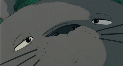 Totoro Miyazaki GIF - Totoro Miyazaki Waking Up GIFs