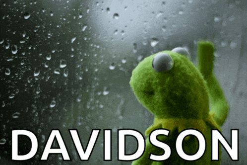 a kermit the frog looking out a window with the name davidson on the bottom right