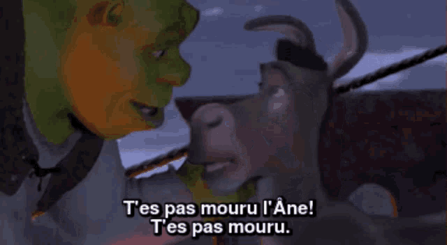 shrek and donkey talking in a foreign language