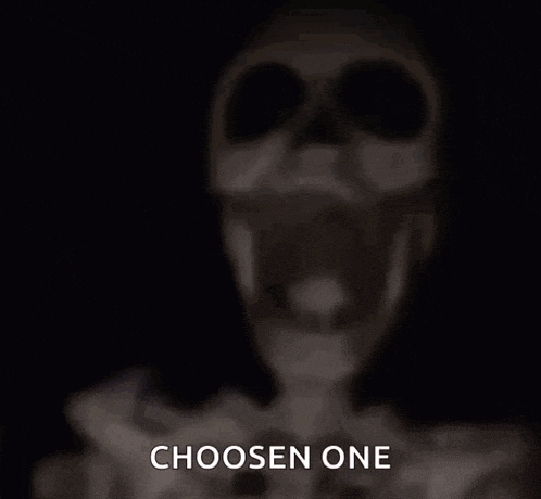 a blurry picture of a skeleton with the words choose one
