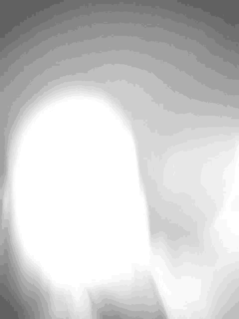 it is a black and white photo of a light bulb being lit up .