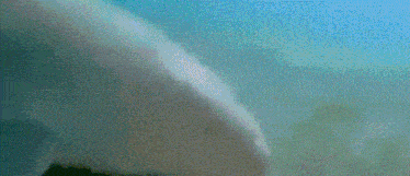 a person is swimming in the ocean with a bug on their stomach