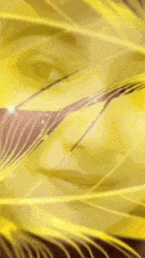 a close up of a woman 's face with yellow feathers around it