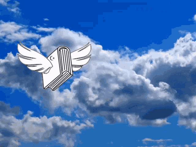 Book With Wings Flying Book GIF - Book With Wings Flying Book Asmani Kitab GIFs