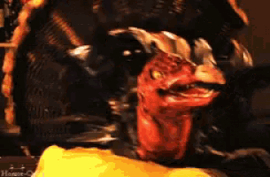 a close up of a turkey 's head with the word hunger visible in the corner