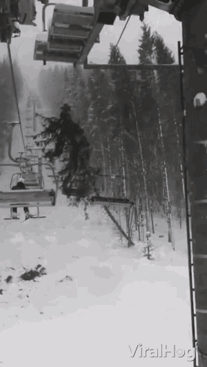 Christmas Tree Fail GIF - Christmas Tree Fail Ski Lift GIFs