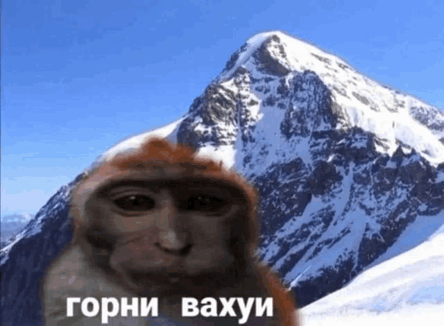 a monkey is standing in front of a snowy mountain with a caption in russian