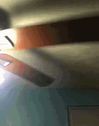 a ceiling fan is spinning in a room with a blue wall .