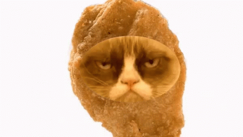Grumpy Cat Chicken Nuggets GIF - Grumpy Cat Chicken Nuggets Grumpy Chicken Nugget GIFs